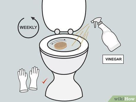 How to Clean a Bidet Nozzle