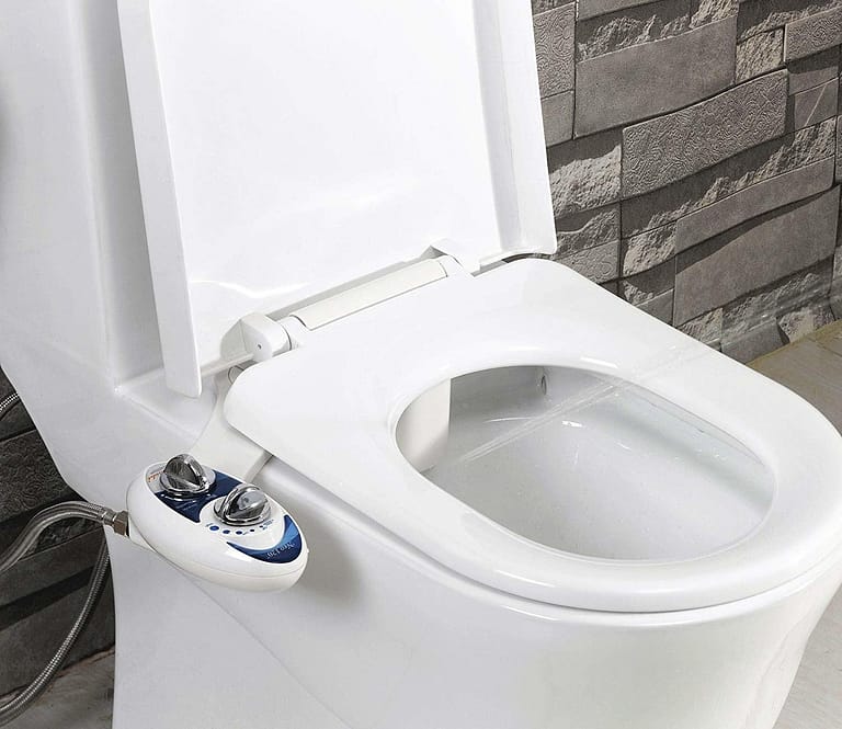 What’s the Buzz About Bidet Toilets?