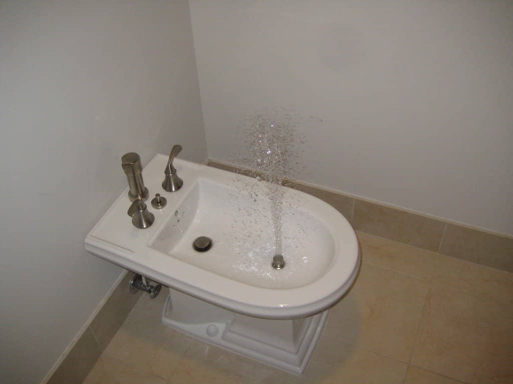 Bidet Conversion | Why Don't US Bathrooms have Bidets?