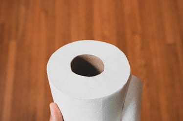 person holding white toilet paper roll