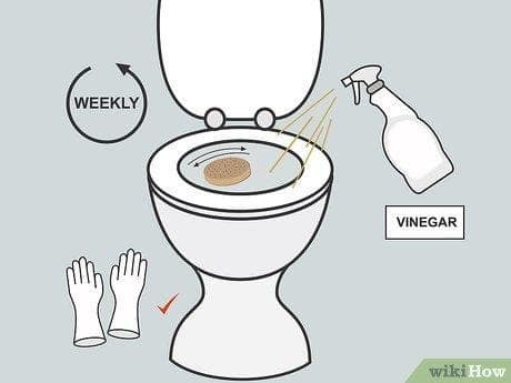 Bidet Conversion | How to Clean a Bidet Nozzle