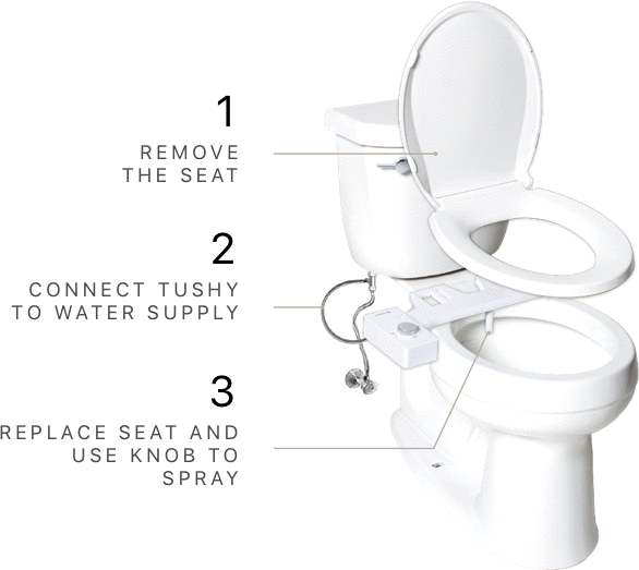 Bidet Conversion | Hello Tushy Bidet Reviews