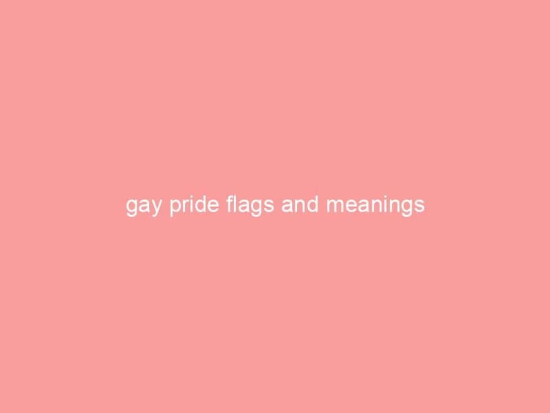 Text displaying 'gay pride flags and meanings' on a pink background.